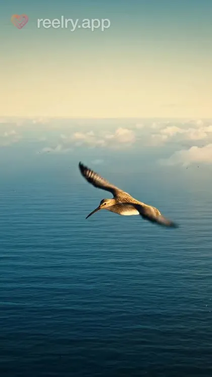 Current reel thumbnail from the live Reelry showcase, example 6